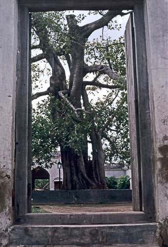 HL-0069.jpg