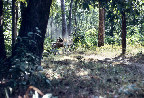 HL-0070.jpg