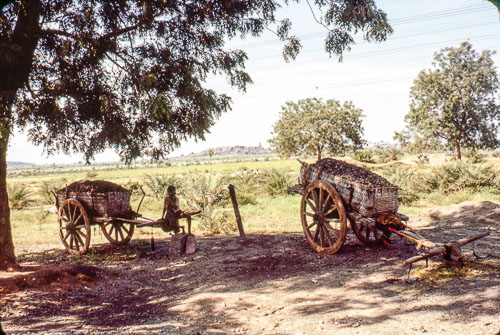 JCross_FB00190.jpg JCross_FB00190.jpg