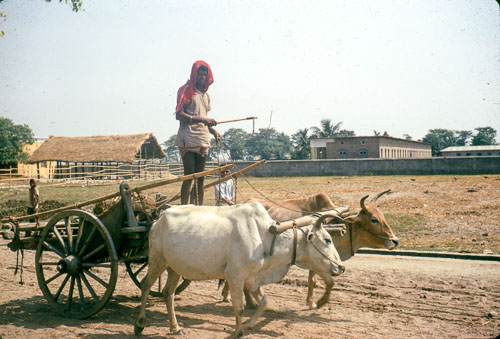 JCross_FB00191.jpg JCross_FB00191.jpg