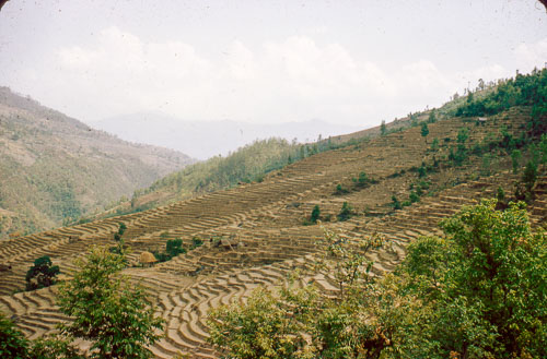 JCross_FB0060.jpg