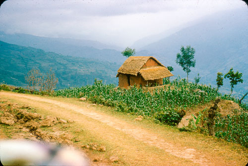 JCross_FB0063.jpg