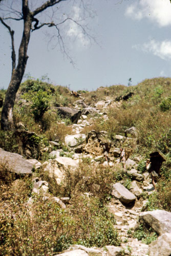 JCross_FB0077.jpg