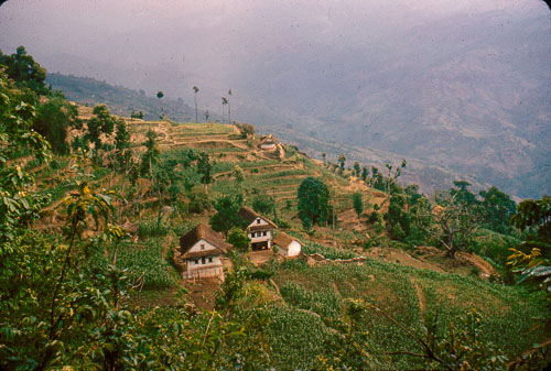 JCross_FB0083.jpg