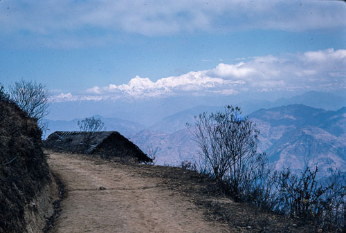 JR_CS0063.jpg