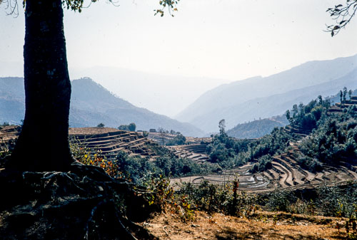 JR_CS0064.jpg
