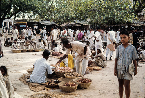 JR_CS0076.jpg