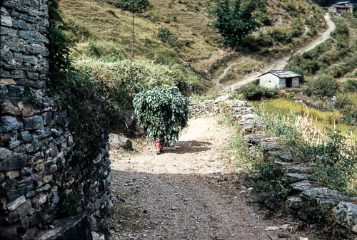 JR_CS0089.jpg