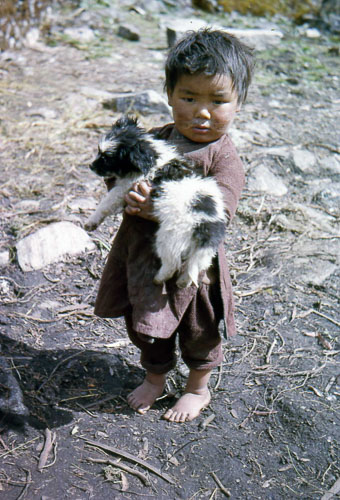 JY-0017.jpg