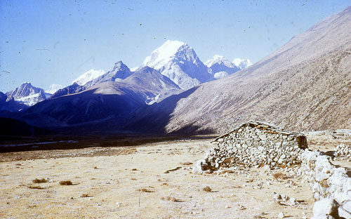 JColeman-0016.jpg