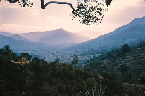JF_CS0045.jpg