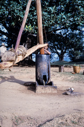 JF_CS0055.jpg JF_CS0055.jpg