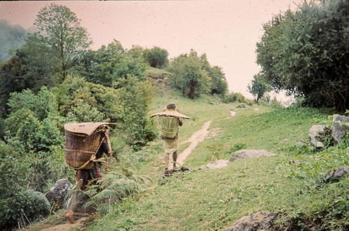JF_CS0063.jpg JF_CS0063.jpg