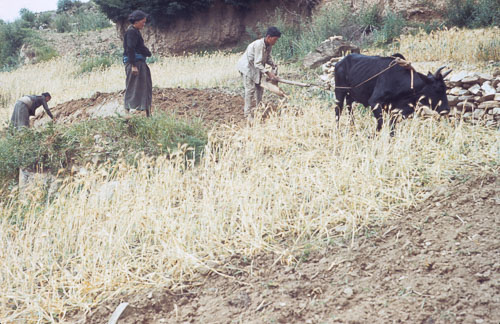 JFisher0121.jpg