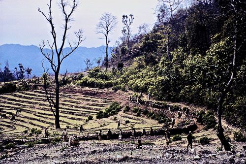 JG022.jpg