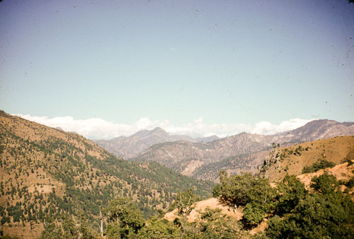 JL_FB00062.jpg