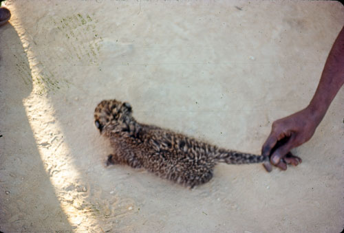 JL_FB00069.jpg
