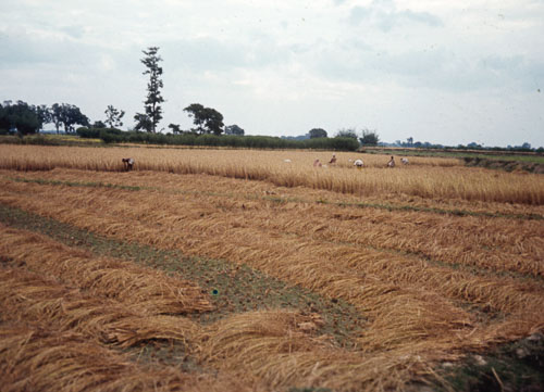 01_Village_057.jpg