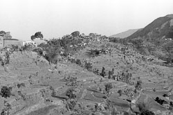 KRH-0093.jpg KRH-0093.jpg