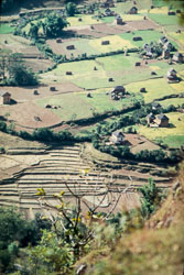 MG_CS000064.jpg