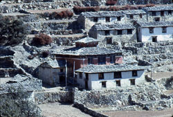 MG_CS000106.jpg