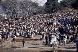 MG_CS000113.jpg