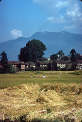 MG_CS000126.jpg