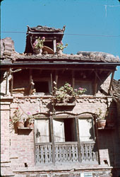 MG_CS000141.jpg