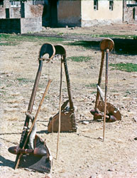 MG_CS000144.jpg