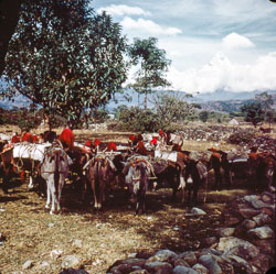 MG_CS000197.jpg