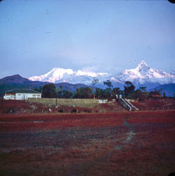 MG_CS000204.jpg