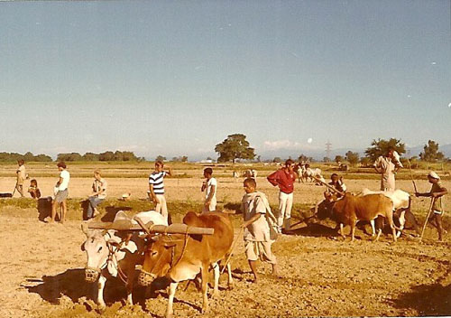MFurst0083.jpg