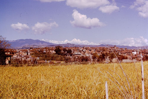 MFurst0309.jpg