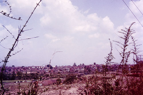 MFurst0310.jpg
