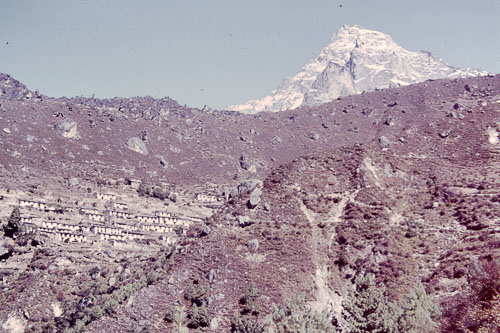 MFurst0338.jpg