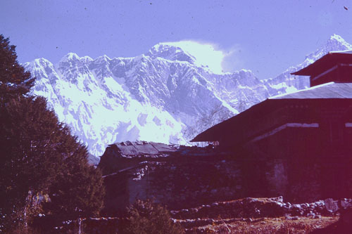 MFurst0347.jpg