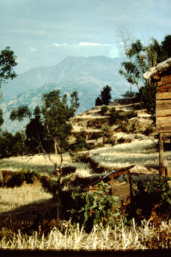 bbmg-1.jpg
