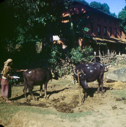 MC_FB00110.jpg