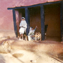 NL022.jpg NL022.jpg