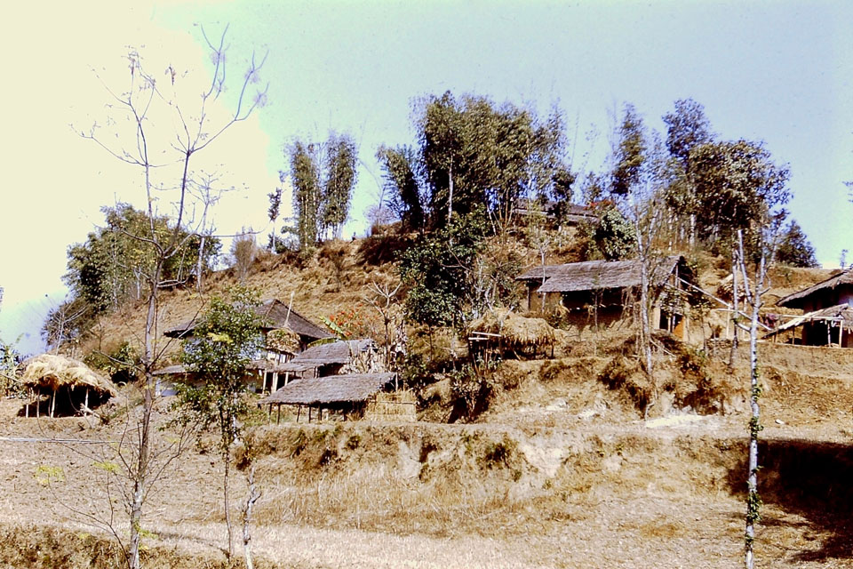 Modling-Jennyberg, A Hilltop Settlement of the Boleraz and Leithaprodersdorf Cultures