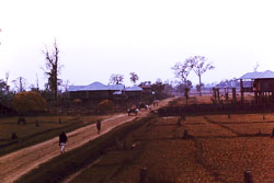 PCL012.jpg