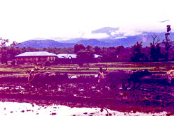 PCL034.jpg