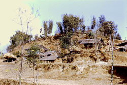 PCL066.jpg PCL066.jpg