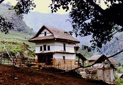 PCL084.jpg