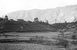 PCL099.jpg