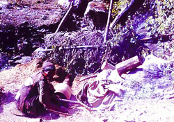 PCL197.jpg PCL197.jpg