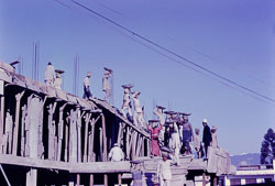 PCL264.jpg PCL264.jpg