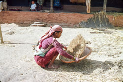 MDP_FS00039.jpg MDP_FS00039.jpg