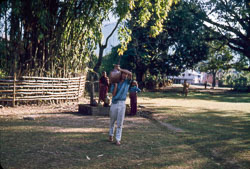 MDP_FS00044.jpg MDP_FS00044.jpg