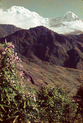 PC_FB0000172.jpg